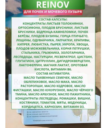 SasheraMed Reinov for kidneys and bladder 10 capsules - set 3 pcs - Buy Online on GoSupps.com