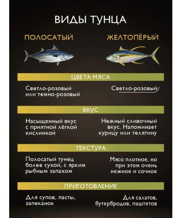 MAGURO Tuna yellow-fingered fillet-bush in oil 170g - Buy Online on GoSupps.com