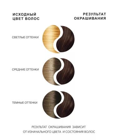 FARA Classic 506A milk chocolate set 2pcs - Buy Online on GoSupps.com