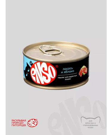 Enso Cat food paste with salmon and apple (100g x 24pcs) - Buy Online on GoSupps.com