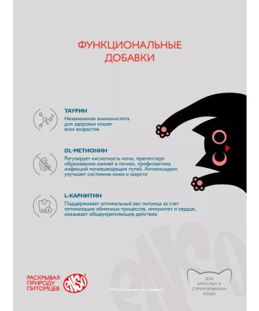 Enso Cat food paste with salmon and apple (100g x 24pcs) - Buy Online on GoSupps.com