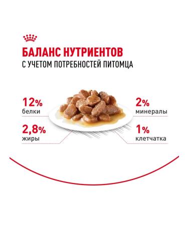 ROYAL CANIN Instinective cat food in sauce 28 x 85 gr - Buy Online on GoSupps.com