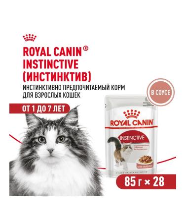 ROYAL CANIN Instinective cat food in sauce 28 x 85 gr - Buy Online on GoSupps.com
