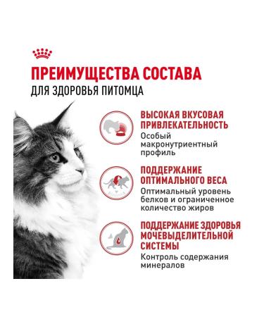 ROYAL CANIN Instinective cat food in sauce 28 x 85 gr - Buy Online on GoSupps.com