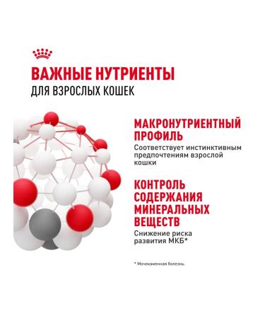 ROYAL CANIN Instinective cat food in sauce 28 x 85 gr - Buy Online on GoSupps.com