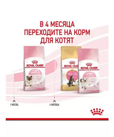 ROYAL CANIN Dry food Mother & Babycat 400 gr - Buy Online on GoSupps.com