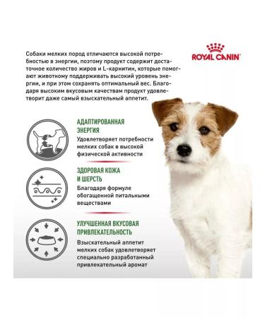 ROYAL CANIN Dry food 4 kg mini adult for dog dogs - Buy Online on GoSupps.com