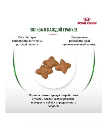 ROYAL CANIN Dry food 4 kg mini adult for dog dogs - Buy Online on GoSupps.com