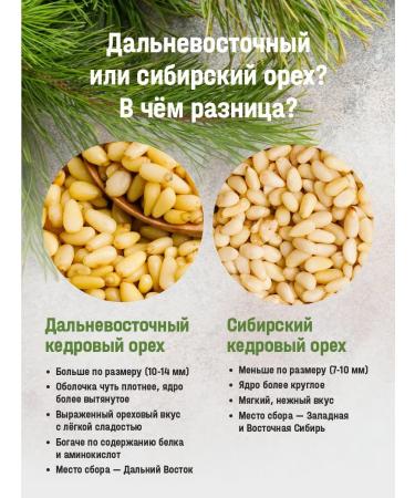 Siberian cedar Cedarly peeled Far Eastern nuts 500 g - Buy Online on GoSupps.com