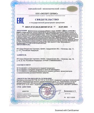 Iroox Kholin + DME dietary supplement for the brain and improvement of memory No. 60 - Buy Online on GoSupps.com