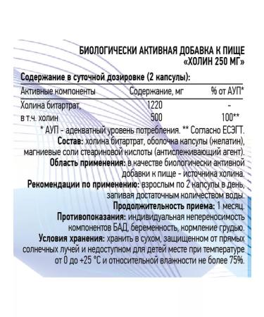 Iroox Choline 500 for brain and memory dietary supplement for the liver No. 60 - Buy Online on GoSupps.com