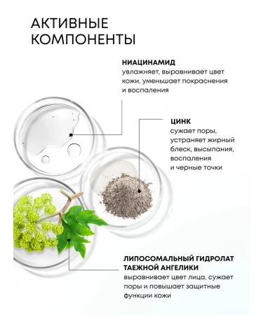 Natura Siberica Facial tonic of acne cleansing matting 250 ml - Buy Online on GoSupps.com