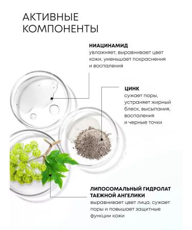 Natura Siberica Face mask cleansing of black dots and acne 50 ml - Buy Online on GoSupps.com