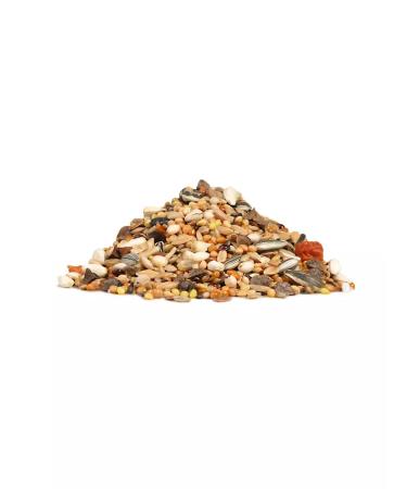 RIO Feed for medium parrots during molting 500g - Buy Online on GoSupps.com