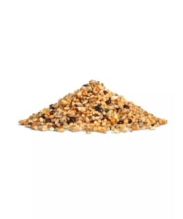 RIO Feed for exotic birds 500g - Buy Online on GoSupps.com
