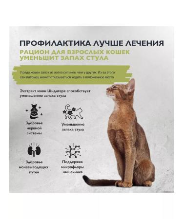 Brit Care Dry food for adult cats with turkey and salmon 1.5 kg - Buy Online on GoSupps.com