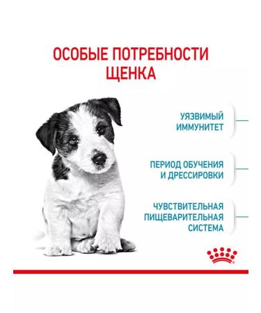 ROYAL CANIN Dry food for small mini puppy 4 kg puppies - Buy Online on GoSupps.com