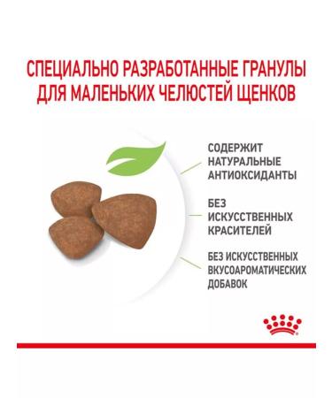 ROYAL CANIN Dry food for small mini puppy 4 kg puppies - Buy Online on GoSupps.com