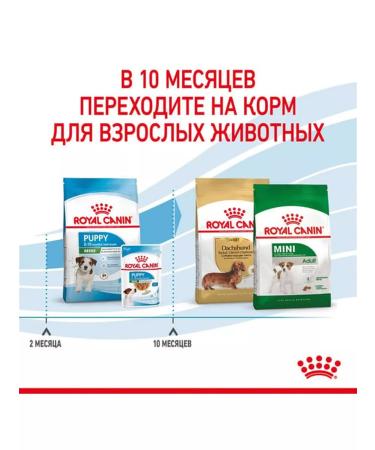 ROYAL CANIN Dry food for small mini puppy 4 kg puppies - Buy Online on GoSupps.com