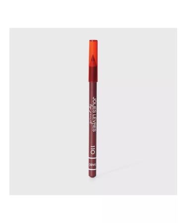 VIVIENNE SABO Jolies Levres lip pencil tone 110 winery