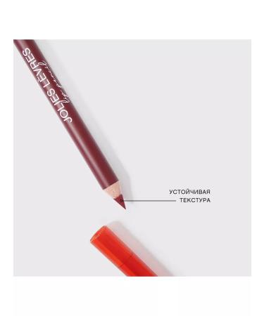 VIVIENNE SABO Jolies Levres lip pencil tone 110 winery - Buy Online on GoSupps.com