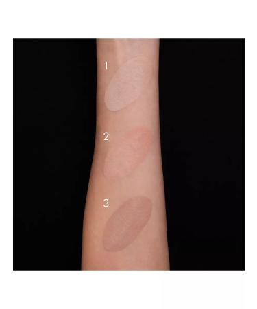 INES COSMETICS Facial corrector liquid SS+ tone02 - Buy Online on GoSupps.com
