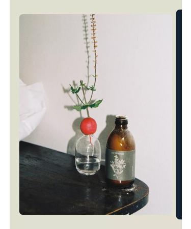 EX TEMPORE Enzyme to wash with sage 150 gr. - Buy Online on GoSupps.com