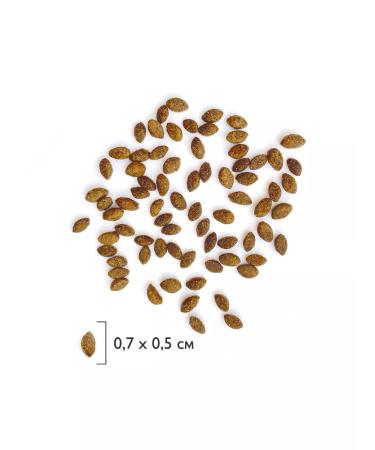 BRIT PREMIUM Dry food for adult cats with salmon 2 kg - Buy Online on GoSupps.com