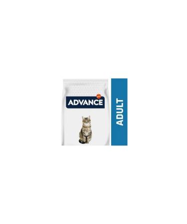Advance Adult cat food 15 kg - Buy Online on GoSupps.com