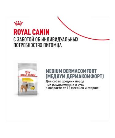 ROYAL CANIN Dry Medium Digestive Care for dogs 3 kg 2 pcs - Buy Online on GoSupps.com