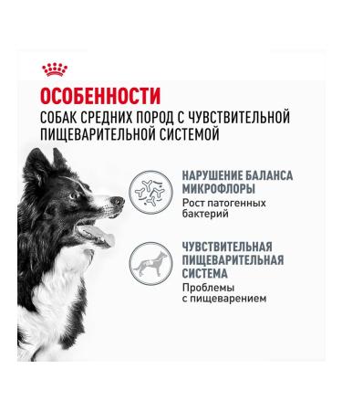 ROYAL CANIN Dry Medium Digestive Care for dogs 3 kg 2 pcs - Buy Online on GoSupps.com