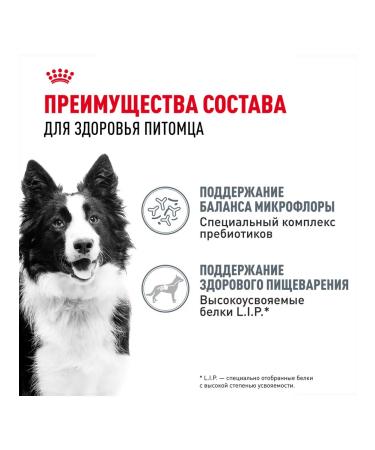 ROYAL CANIN Dry Medium Digestive Care for dogs 3 kg 2 pcs - Buy Online on GoSupps.com