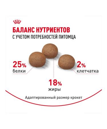 ROYAL CANIN Dry Medium Digestive Care for dogs 3 kg 2 pcs - Buy Online on GoSupps.com