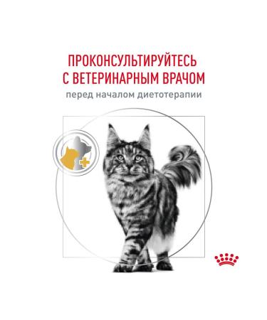 ROYAL CANIN Cat food dry Urinary S o Urinarians 3.5 kg - Buy Online on GoSupps.com