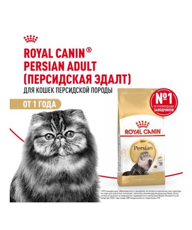 ROYAL CANIN Dry Persian Adult Form for Persian breed 0.4 kg - Buy Online on GoSupps.com