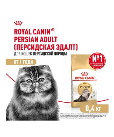 ROYAL CANIN Dry Persian Adult Form for Persian breed 0.4 kg - Buy Online on GoSupps.com
