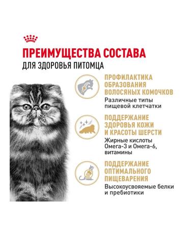 ROYAL CANIN Dry Persian Adult Form for Persian breed 0.4 kg - Buy Online on GoSupps.com