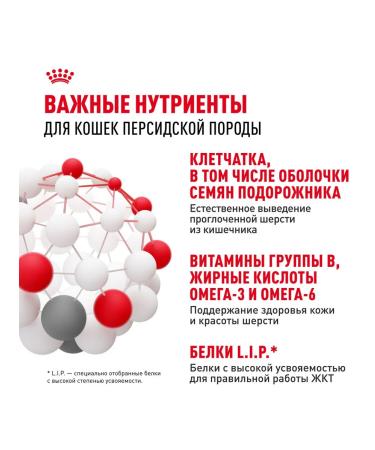 ROYAL CANIN Dry Persian Adult Form for Persian breed 0.4 kg - Buy Online on GoSupps.com