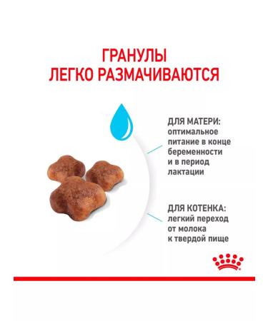 ROYAL CANIN Dry feed Mother & Babycat for kittens and cats 0.4 kg - Buy Online on GoSupps.com