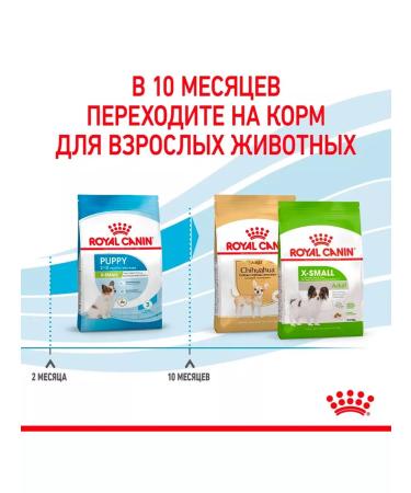 ROYAL CANIN Dry Feed X-Small Puppy for small puppies 0.5 kg 2 pcs - Buy Online on GoSupps.com