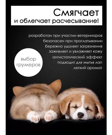 Doctor Groom Hypoallergenic shampoo for puppies 200 ml. Without tears - Buy Online on GoSupps.com