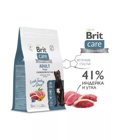 Brit with turkey and duck for dogs of large rocks 12kg