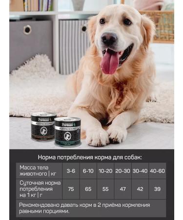 Four-legged Gourmet Dog feed moist hearts turkeys in jelly 240 g 12 pcs - Buy Online on GoSupps.com