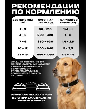 Four-legged Gourmet Dog food for wet bull seeds in jelly 240 g 12 pcs - Buy Online on GoSupps.com