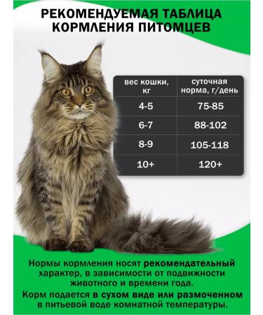 ZooRing Dry food for cats Adult Cat Max Turkey turkey 1.5 kg - Buy Online on GoSupps.com