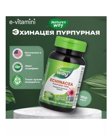 Echinacea Purple 100 vegan capsules