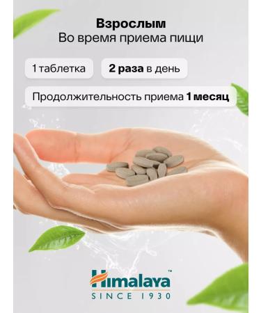 Himalaya Since 1930 Dietary supplements for immunity and health of the skin of amalaki emblika 60 table - Buy Online on GoSupps.com