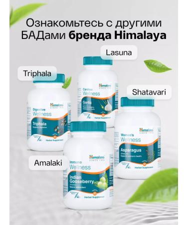 Himalaya Since 1930 Dietary supplement from diabetes of Karel Mordicia 60 tab - Buy Online on GoSupps.com