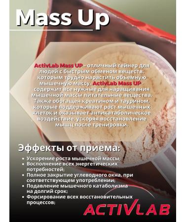 ActivLab Gainer Mass up 1200 G (cookies) - Buy Online on GoSupps.com