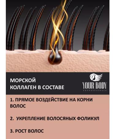 YOUR BODY Professionals Shampoo and hair balm - Buy Online on GoSupps.com